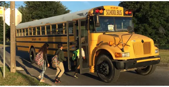 School Bus Bus Stop School Crossing Accident