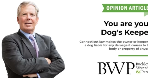 Opinion: You are your dog’s keeper
