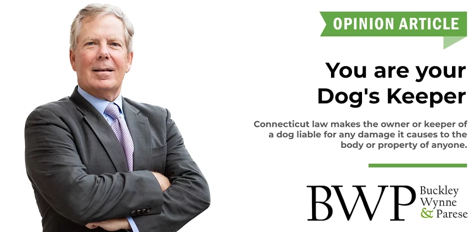 Opinion: You are your dog’s keeper