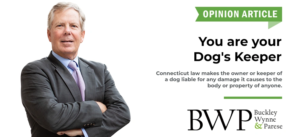 Opinion: You are your dog’s keeper