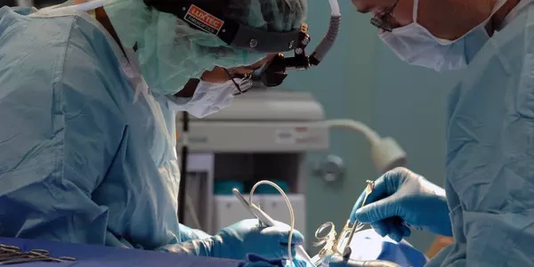 Medical & Professional Malpractice