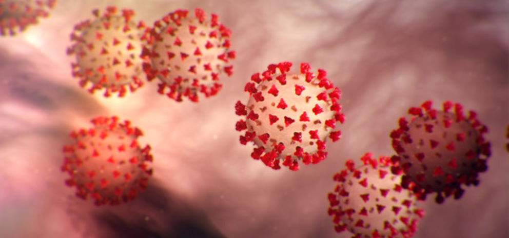 Challenges of COVID-19 will not stop BWP from connecting with and advocating on behalf of our clients