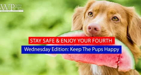 BWP’s “Stay Safe & Enjoy your Fourth” Wednesday’s Edition: Keep the Pups Happy