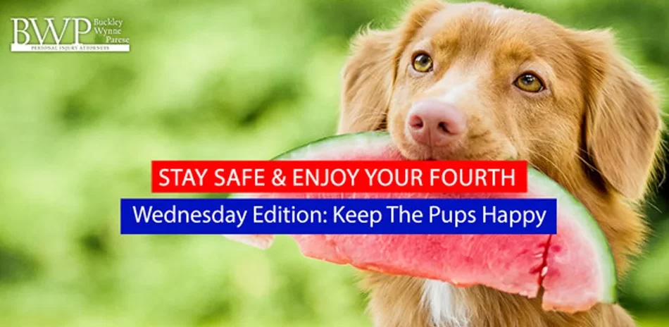 BWP’s “Stay Safe & Enjoy your Fourth” Wednesday’s Edition: Keep the Pups Happy