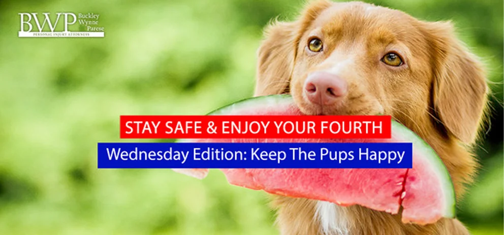 BWP’s “Stay Safe & Enjoy your Fourth” Wednesday’s Edition: Keep the Pups Happy