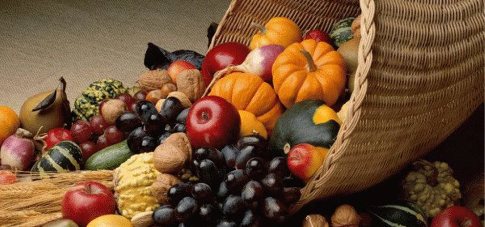 Buckley Wynne & Parese Participates in Annual Horn of Plenty Food Clothing Drive