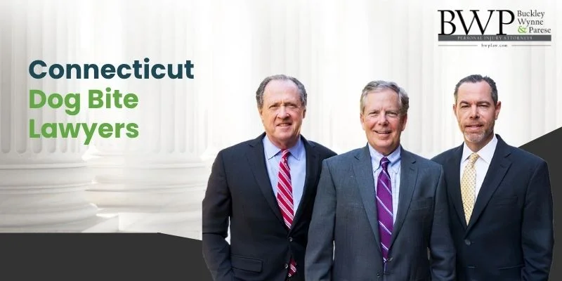 dog bite lawyer in connecticut